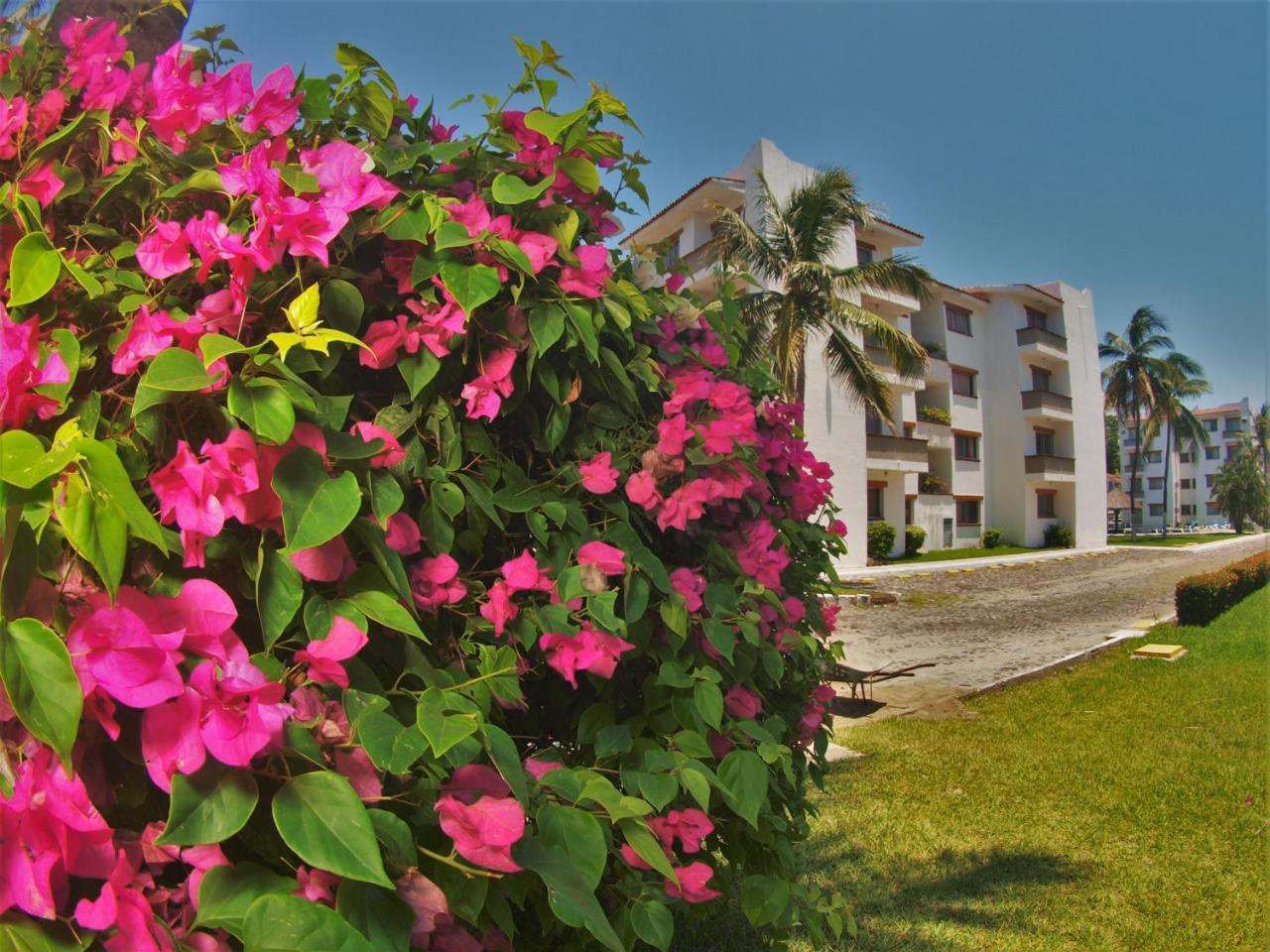Suites Las Palmas Hotel Y Villas Manzanillo Extérieur photo