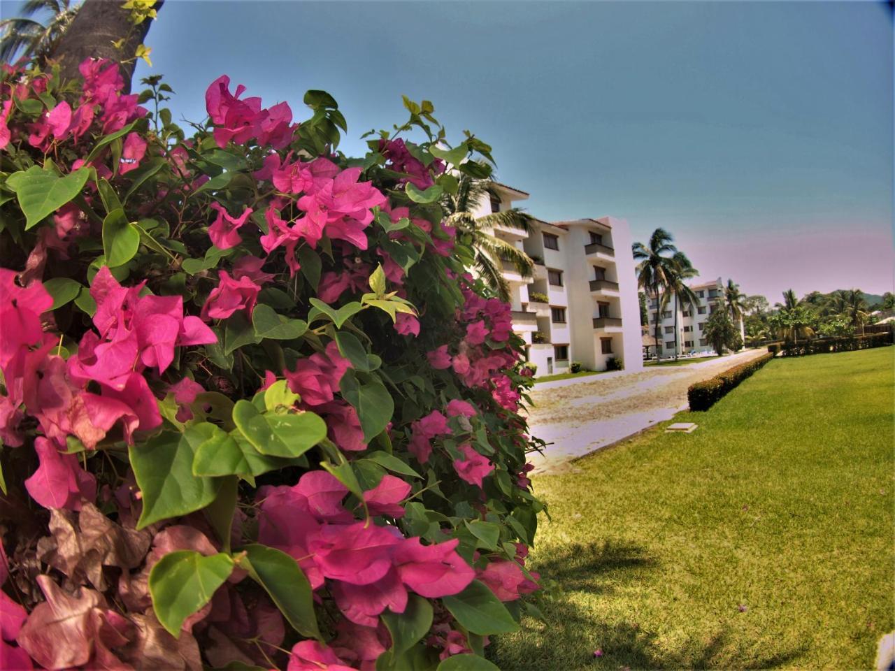 Suites Las Palmas Hotel Y Villas Manzanillo Extérieur photo